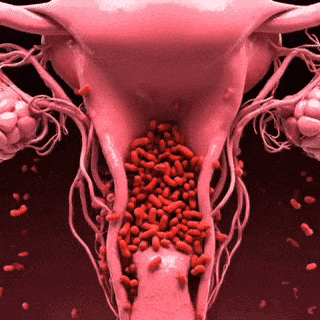 2. Your Good Bacteria Are Dying Off And Bad Bacteria Are Taking Over